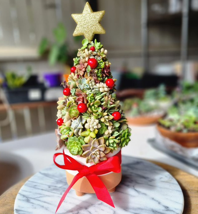 Succulent Christmas Tree - Made to Order